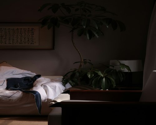 Person reading a book at night with a balanced room lighting and a desk lamp